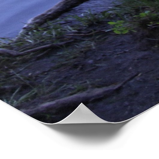 Reflektionen - Baum Poster (Ecke)