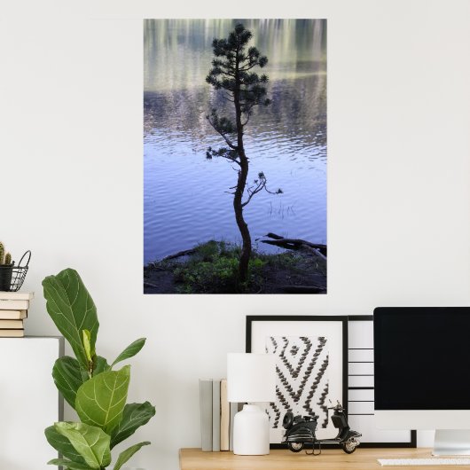 Reflektionen - Baum Poster (Heimbüro)