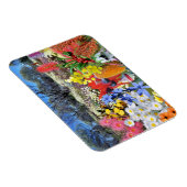 REFLEKTIONEN DER australischen Wildblumen OZ Magnet (Rechte Seite)