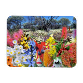 REFLEKTIONEN DER australischen Wildblumen OZ Magnet (Horizontal)