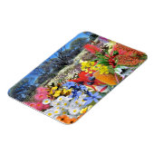 REFLEKTIONEN DER australischen Wildblumen OZ Magnet (Linke Seite)