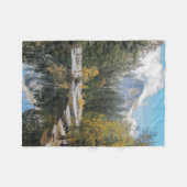 Reflektionen der Halbkuppel Fleecedecke (Vorderseite (Horizontal))