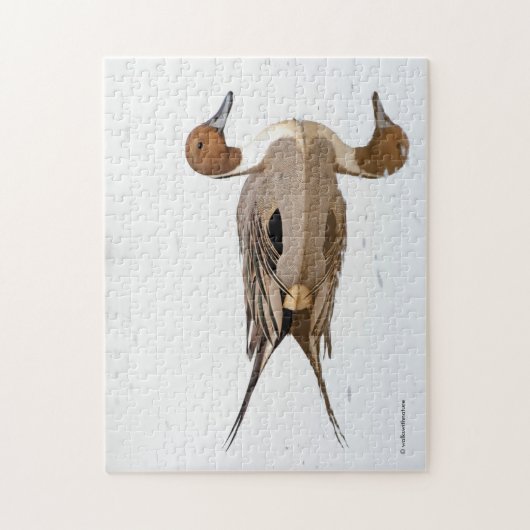 Reflektionen einer Nördlichen Hirschente Puzzle (Vertikal)