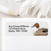 Reflektionen einer Nördlichen Nadelente (Insitu)