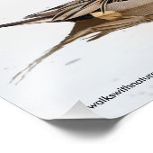 Reflektionen einer Nördlichen Nadelente Fotodruck (Ecke)