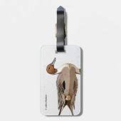 Reflektionen einer Nördlichen Nadelente Gepäckanhänger (Rückseite vertikal)