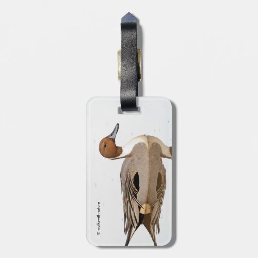 Reflektionen einer Nördlichen Nadelente Gepäckanhänger (Rückseite vertikal)