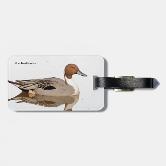 Reflektionen einer Nördlichen Nadelente Gepäckanhänger (Rückseite horizontal)