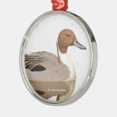 Reflektionen einer Nördlichen Nadelente Silbernes Ornament (Links)