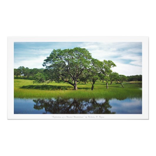 "Reflektionen eines bewaldeten Wunderlands", Natur Fotodruck (Vorne)