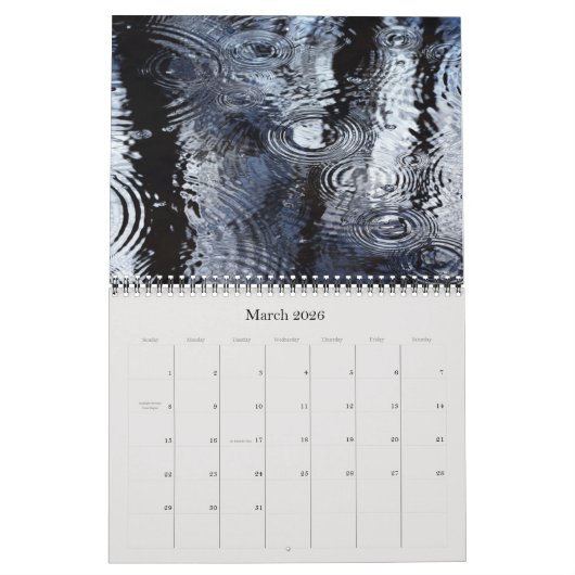 Reflektionen im Kalender der Wassernatur (Mär 2026)