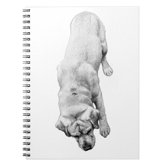 Reflektionen in der notizblock (Vorderseite)