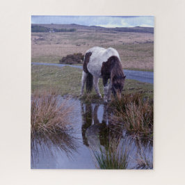 Reflektionen of a Pony Dartmoor National Park Puzzle