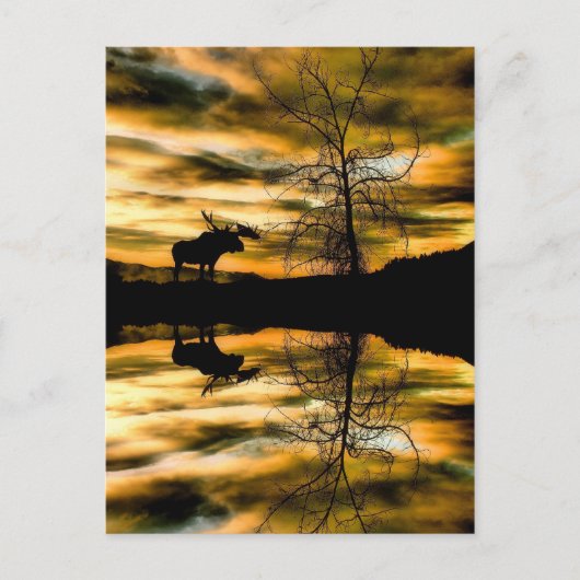 Reflektionen Postkarte (Vorderseite)