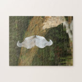 Reflektionen Puzzle (Horizontal)