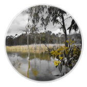 Reflektionen unter grauem Himmel Keramikknauf (Vorderseite)