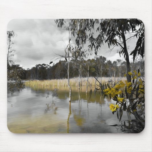 Reflektionen unter grauem Himmel Mousepad (Vorne)