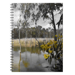 Reflektionen unter grauem Himmel Notizblock