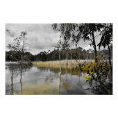 Reflektionen unter grauem Himmel Poster (Vorderseite)