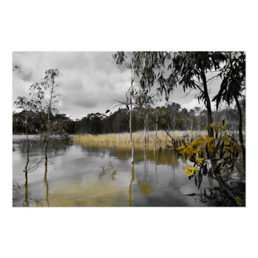 Reflektionen unter grauem Himmel Poster (Vorderseite)