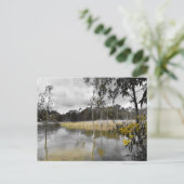 Reflektionen unter grauem Himmel Postkarte (Stehend Vorderseite)