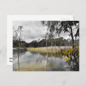 Reflektionen unter grauem Himmel Postkarte (Vorne/Hinten)