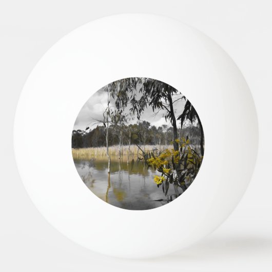 Reflektionen unter grauem Himmel Tischtennisball (Vorderseite)