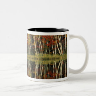 Reflektionen von Herden und Birken; Hiawatha Zweifarbige Tasse