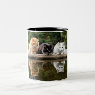 Reflektive Feline Friends: Eine Zwei-Keramiken-Tas Zweifarbige Tasse