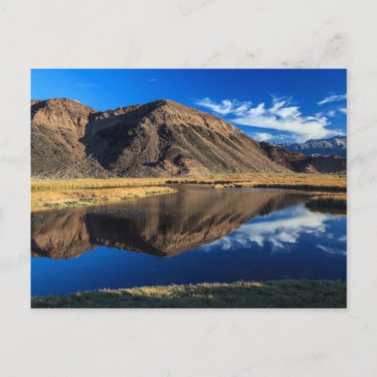 Reflektive Isolation Postkarte (Vorderseite)