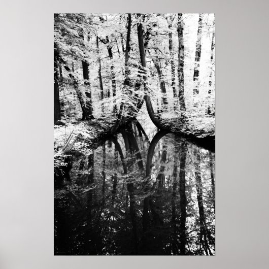 Reflektive Kontrast wapcna Poster (Vorne)