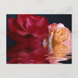 Reflektive Rose Postkarte