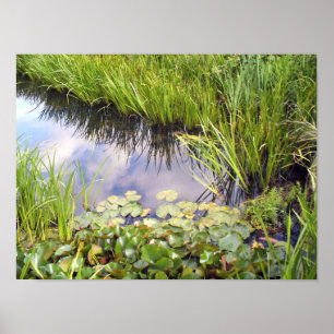 Reflexion des Himmels im See mit Lilien Poster