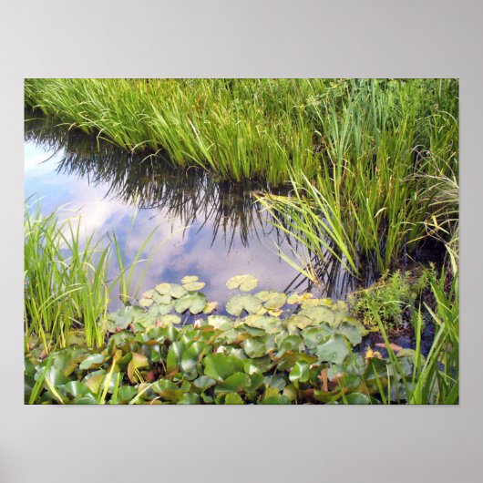 Reflexion des Himmels im See mit Lilien Poster (Vorne)