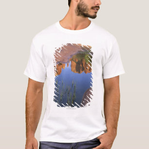 Reflexion des Kathedralen-Felsens, Sedona, Arizona T-Shirt