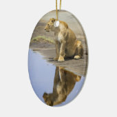 Reflexion einer Löwin-Verzierung Keramik Ornament (Links)