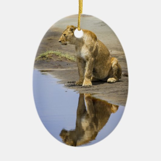 Reflexion einer Löwin-Verzierung Keramik Ornament (Vorne)