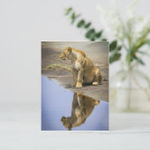 Reflexion einer Lügnerei Postkarte (Stehend Vorderseite)