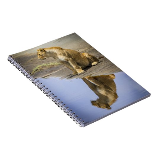 Reflexion eines Löwin-Notizbuches Notizblock (Rechte Seite)