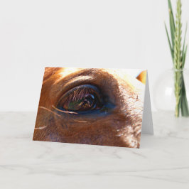 Reflexion im Auge des Pferdes Karte