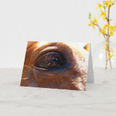 Reflexion im Auge des Pferdes Karte (Gelbe Blume)