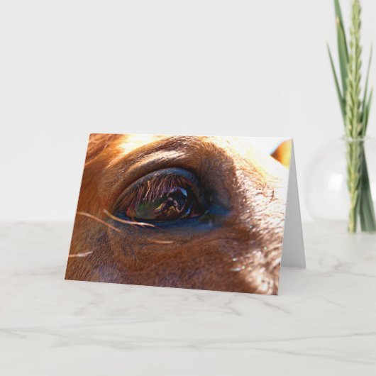 Reflexion im Auge des Pferdes Karte (Vorderseite)