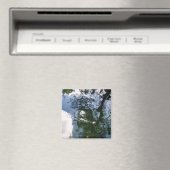 Reflexion im Sturgeon-Teichmagnet Magnet (In Situ (Geschirrspüler))