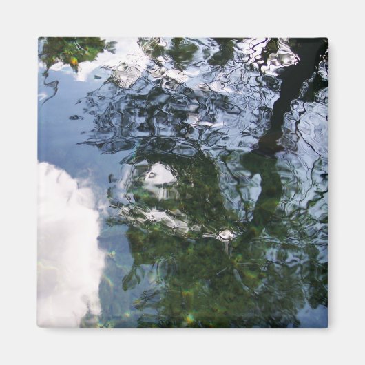 Reflexion im Sturgeon-Teichmagnet Magnet (Vorne)