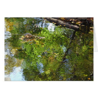 Reflexion im Wasser