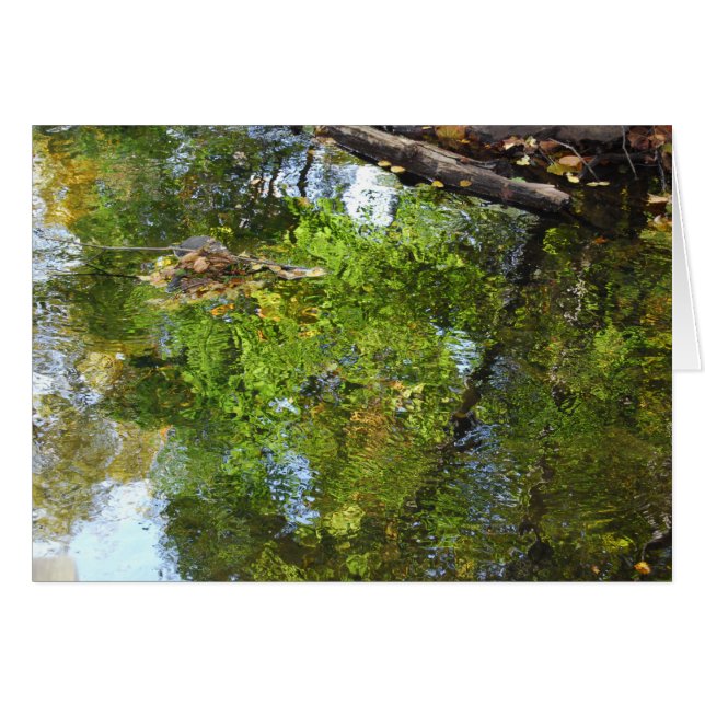 Reflexion im Wasser (Vorderseite (Horizontal))