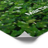 Reflexion in Grün Poster (Ecke)