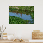 Reflexion in Grün Poster (Küche)