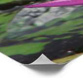Reflexion Poster (Ecke)