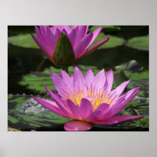 Reflexion Poster